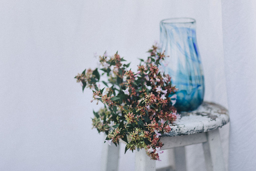 Optimism by Alexandra Dao