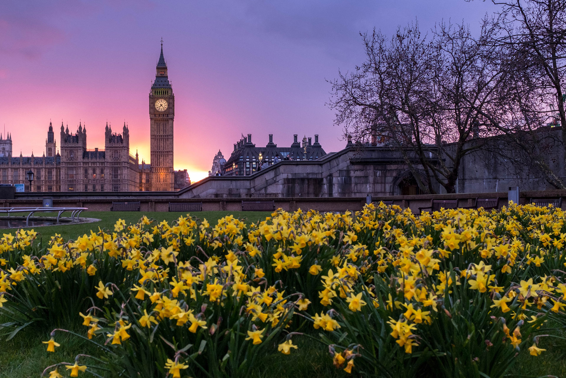 A London Floral: Where To See Flowers in London