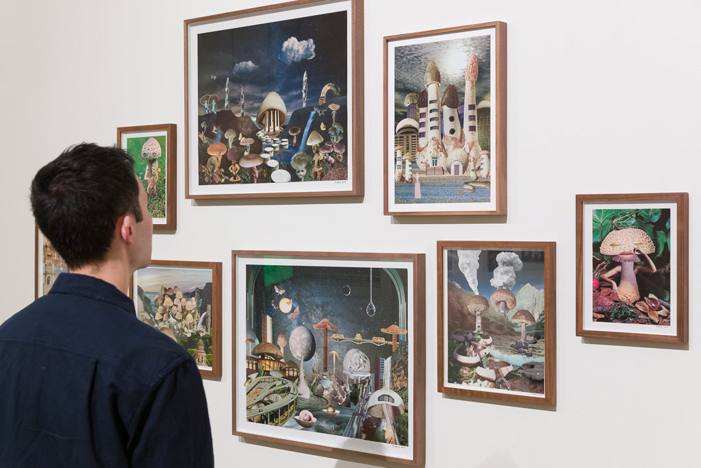 Mushrooms The Art, Design and Future of Fungi