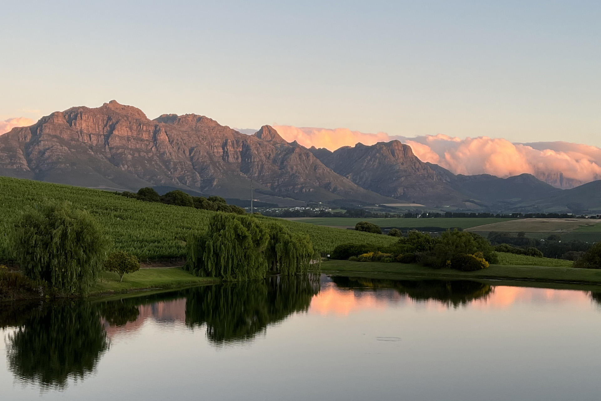 Stellenbosch in the South African winelands