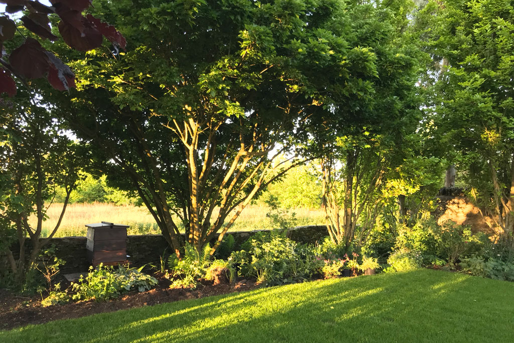 Chris Beardshaw's garden