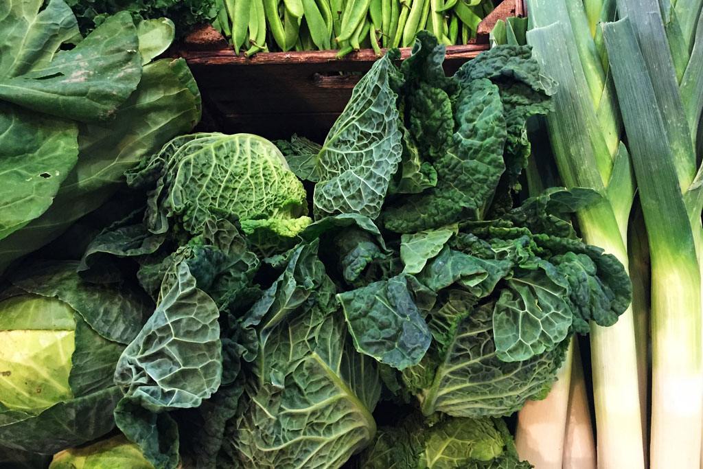 Cabbage