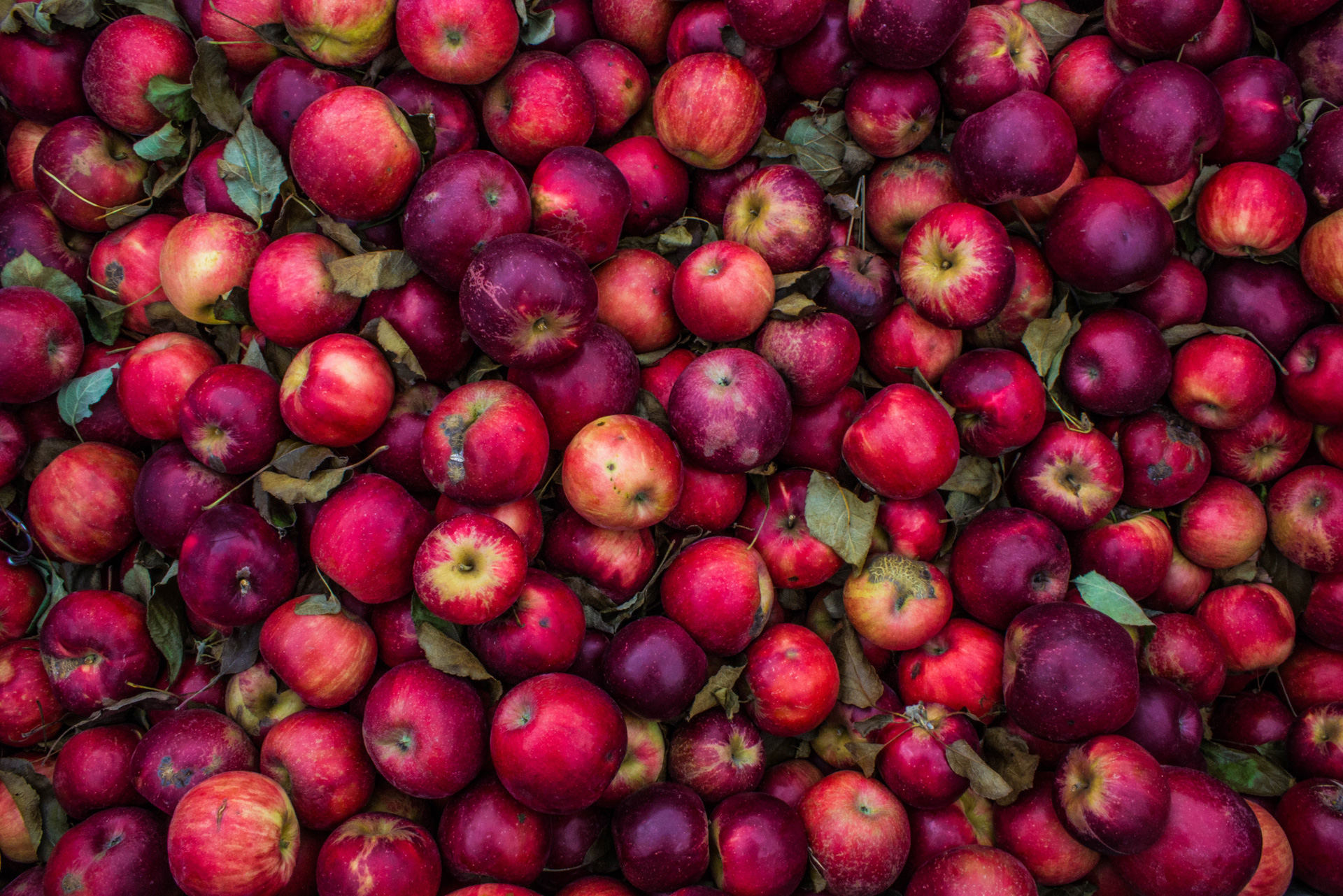 Eat the Seasons: Fruit & Veg That's in Season Now