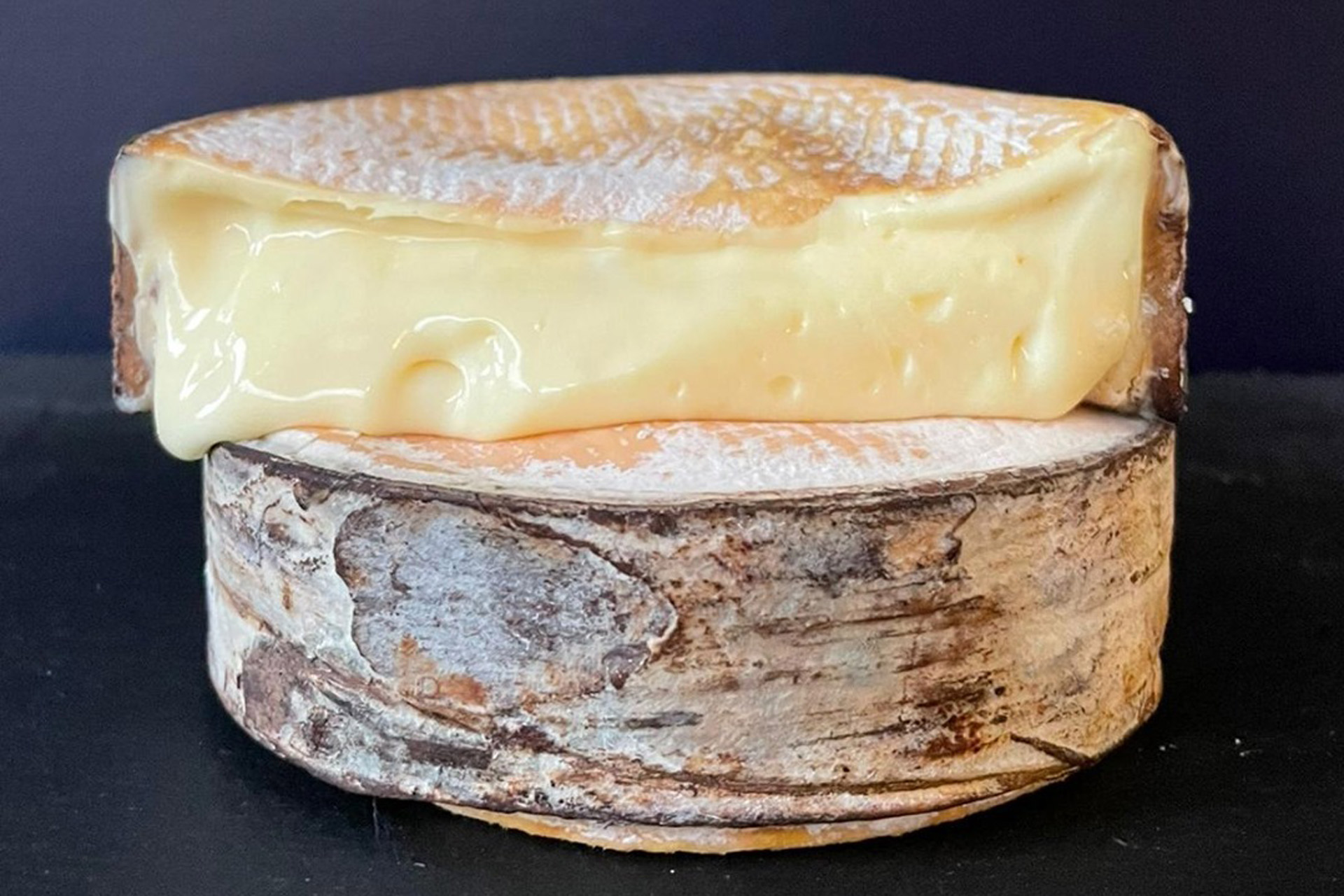 The Cheese Bar