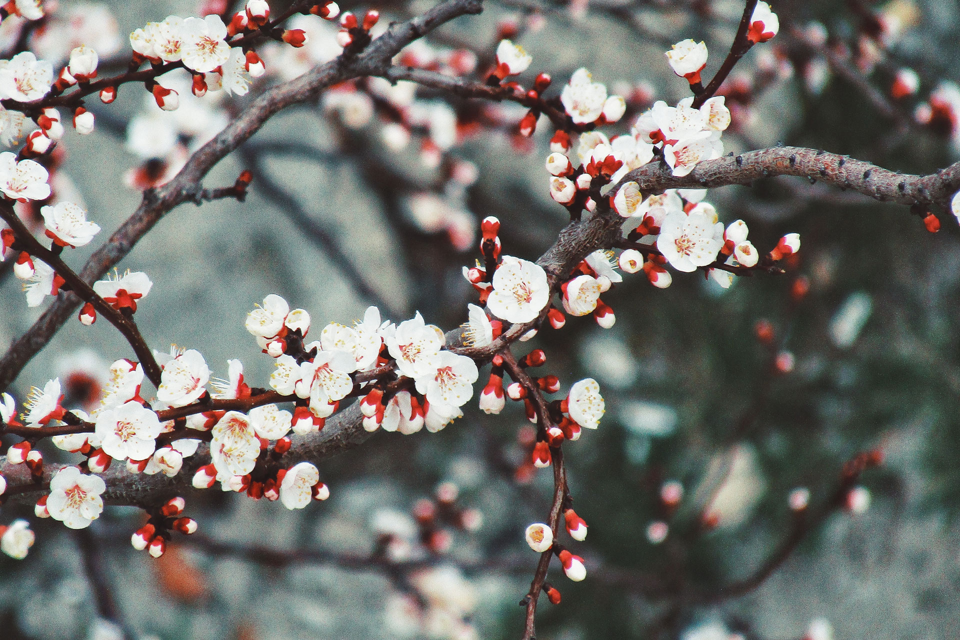 Good News You Need Right Now