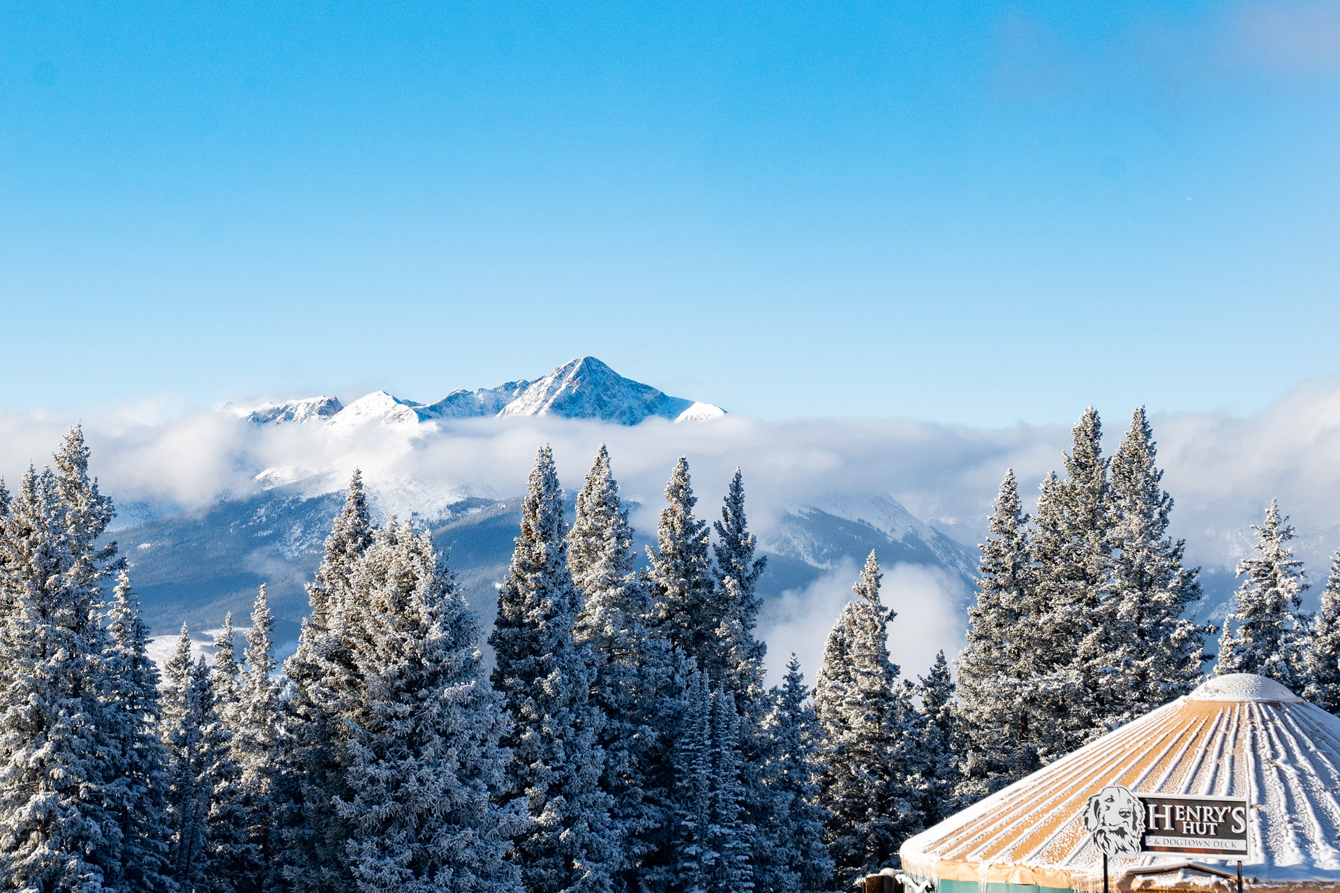 Snowy trees and mountains