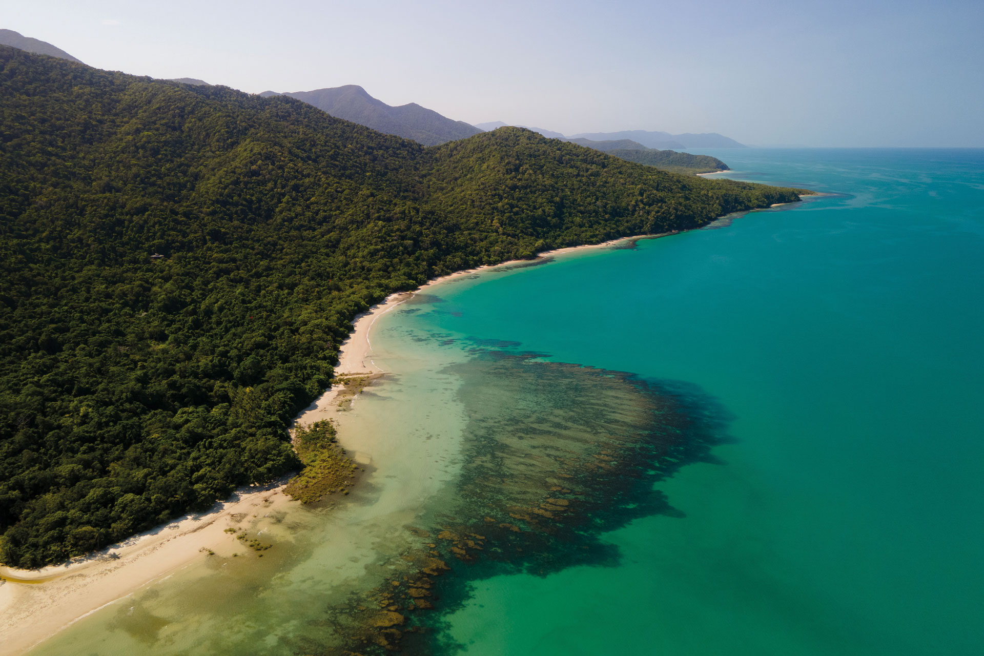Wildness of Oz: Discovering Cairns, in the North East of Australia