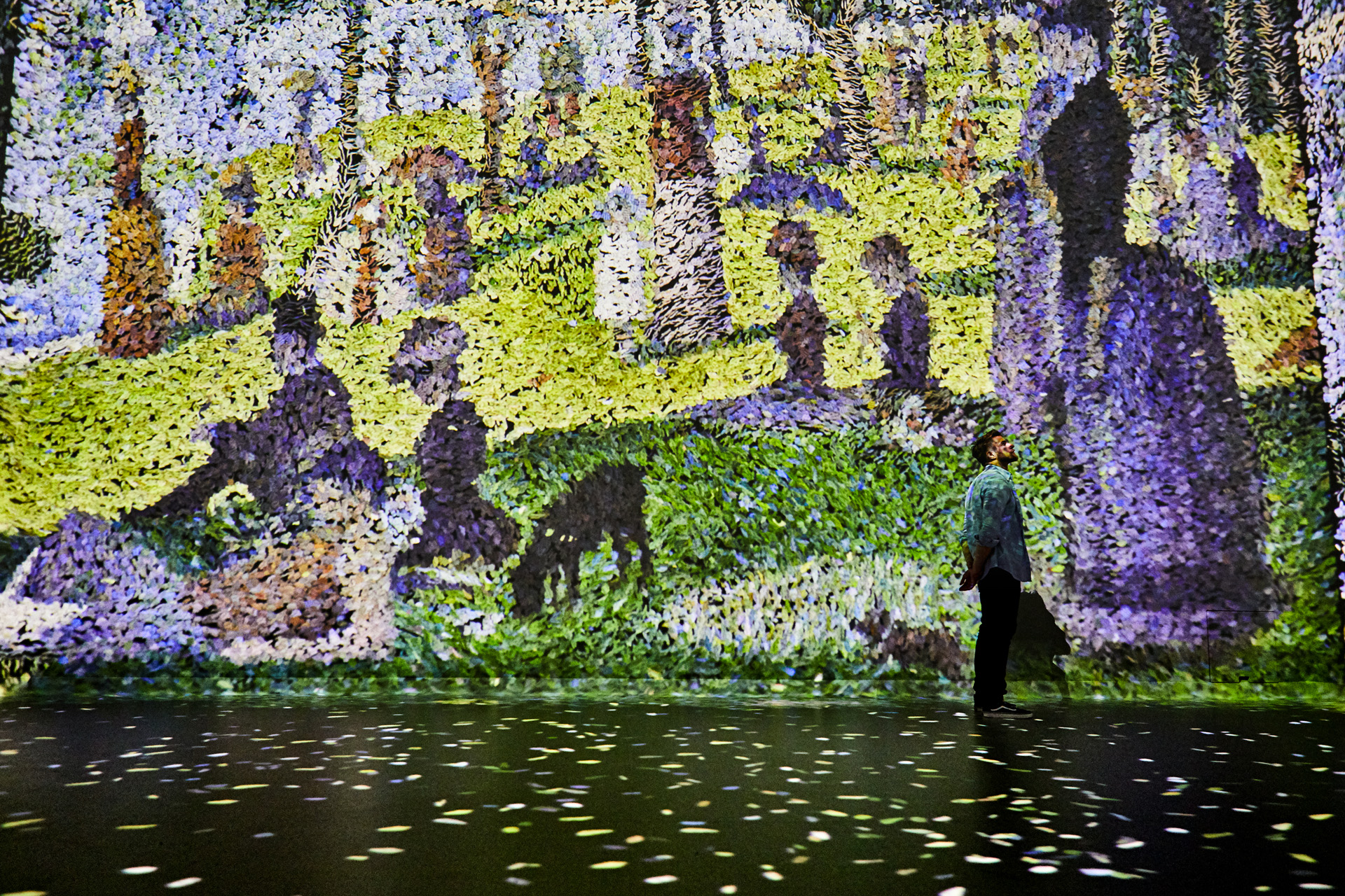 Seurat in the Colour in Motion gallery at Frameless