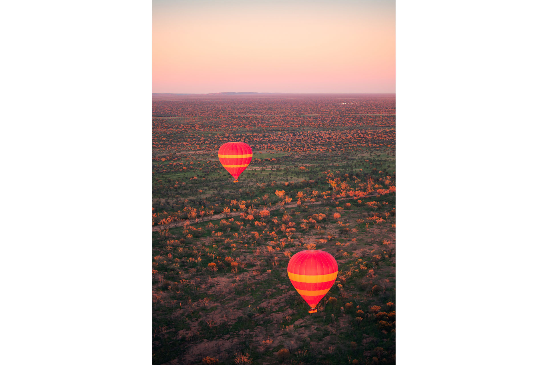 Hot air balloons over the red centre australia