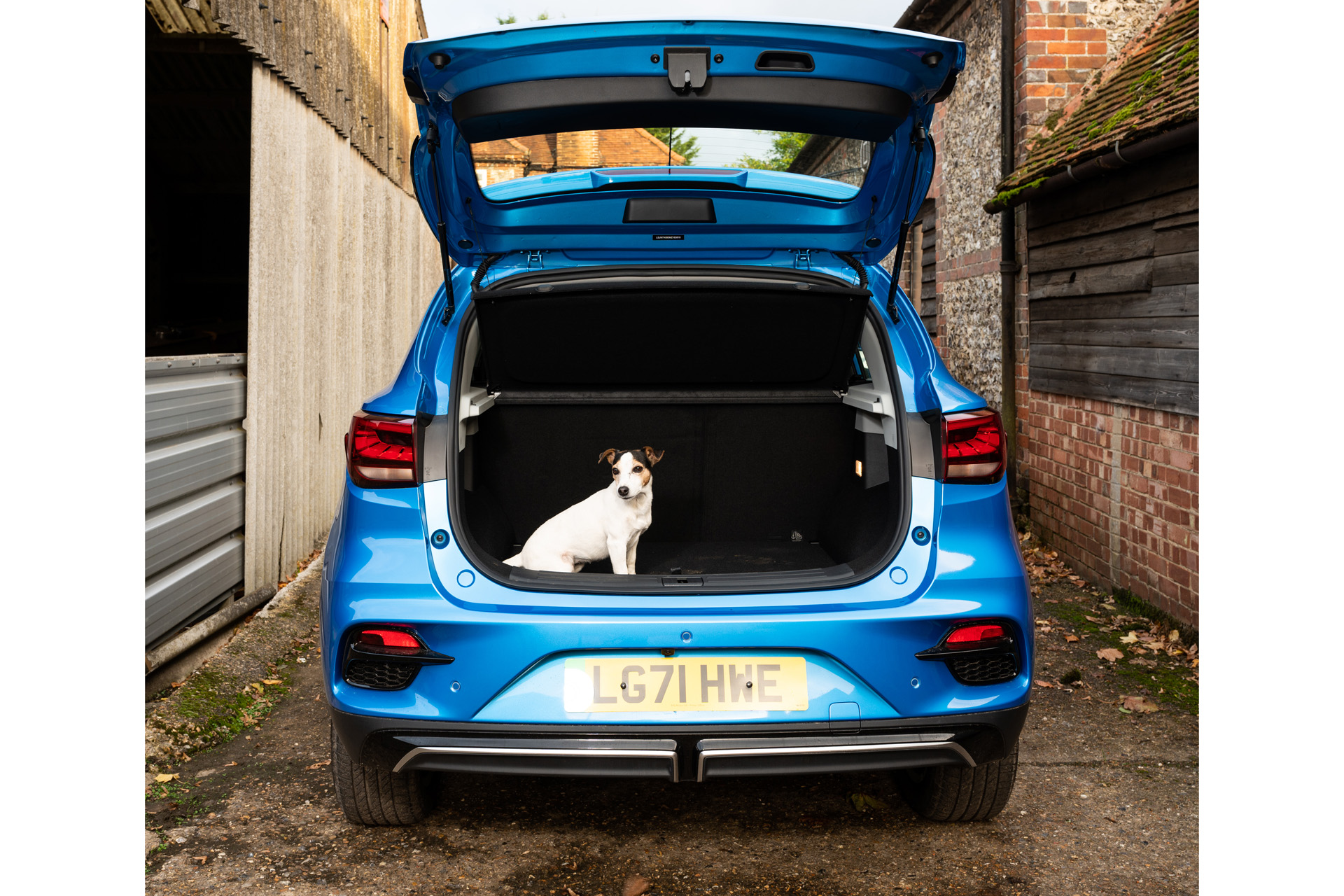 A blue MG ZS EV with a dog in the open car boot