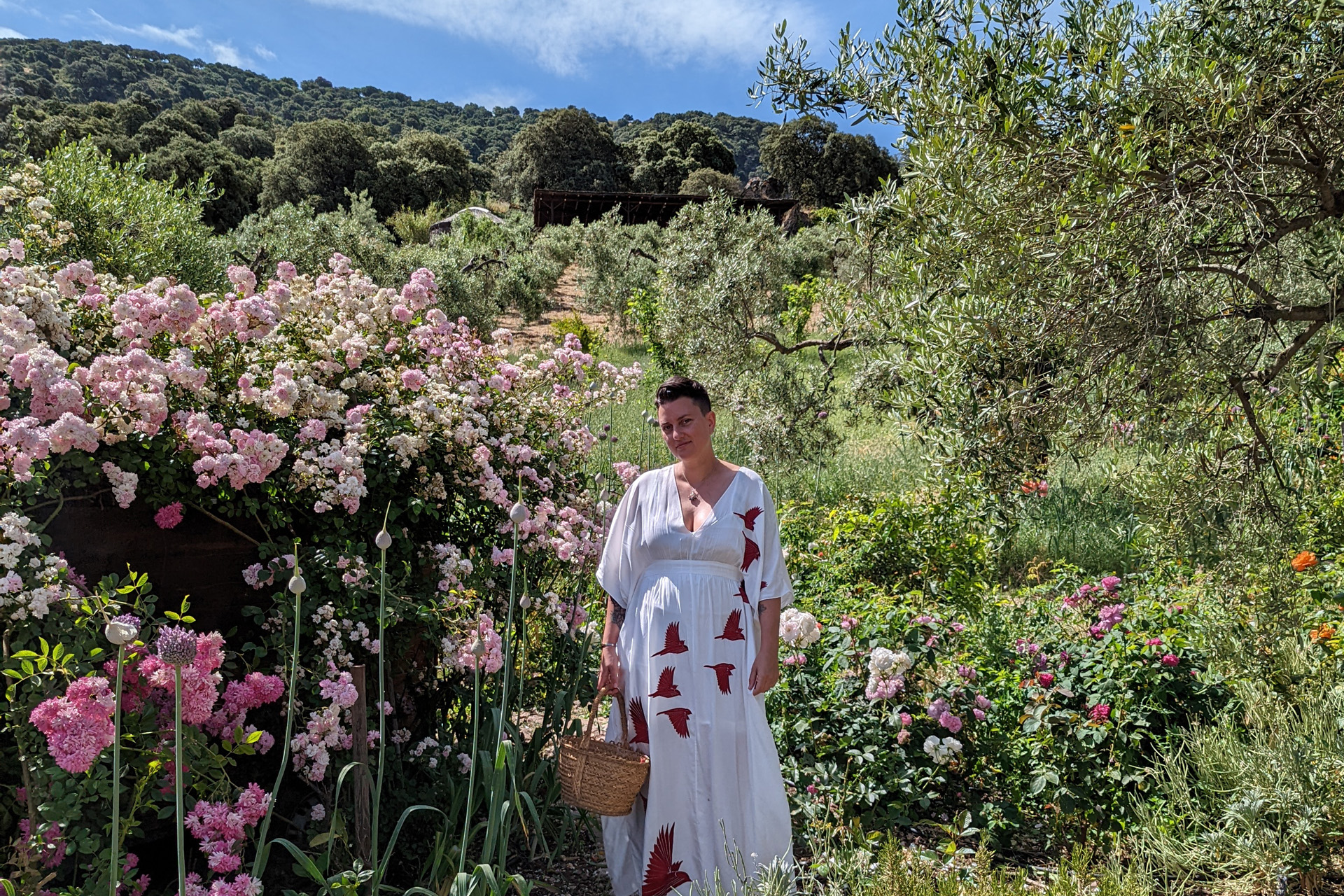 One of the Best Kept Secrets in the Andalucian Hills