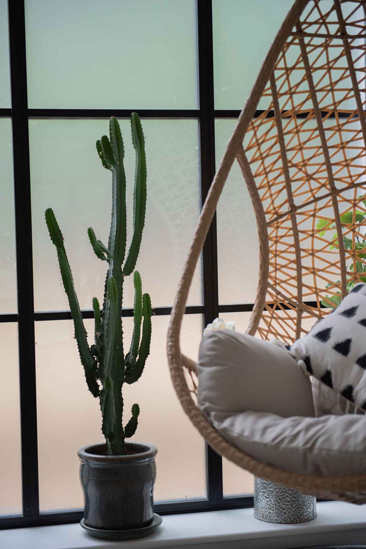 Breathe Bend Believe Yoga Retreat