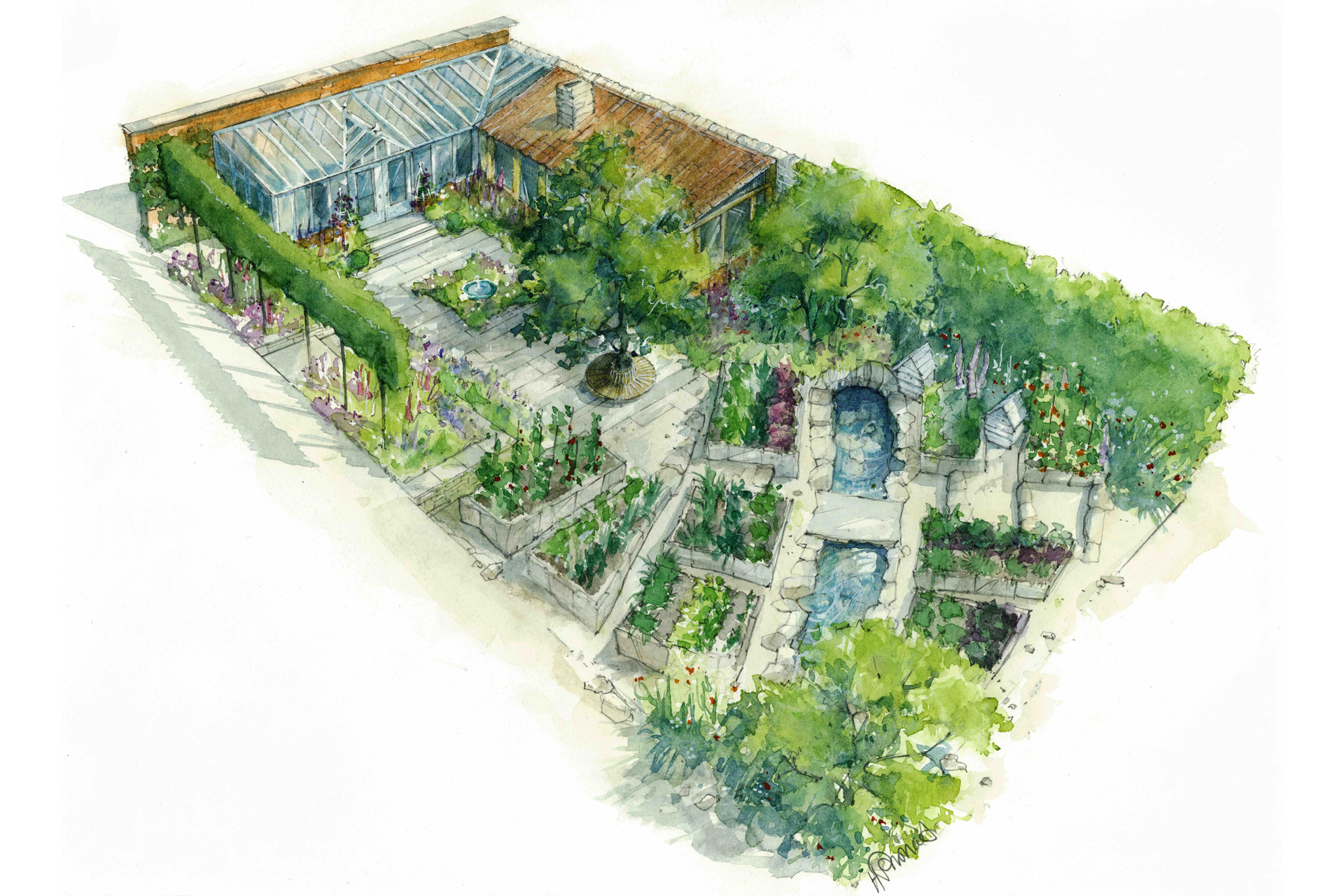 Drawing of the Savills Garden at Chelsea Flower Show