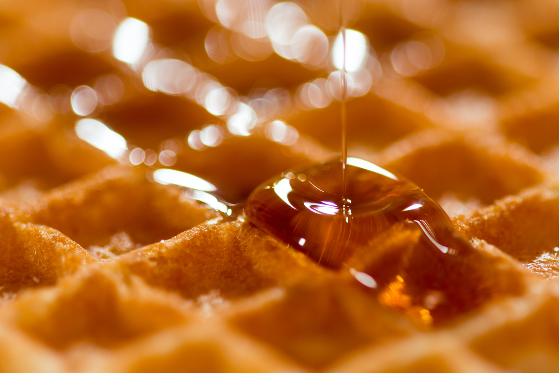 Close up of maple syrup on waffle