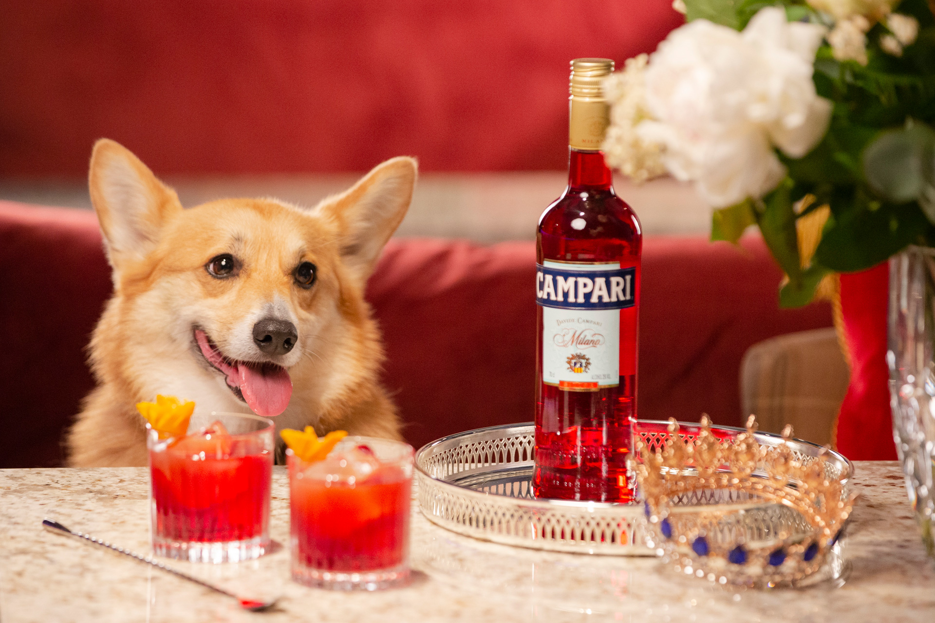 Campari Coronation Negroni