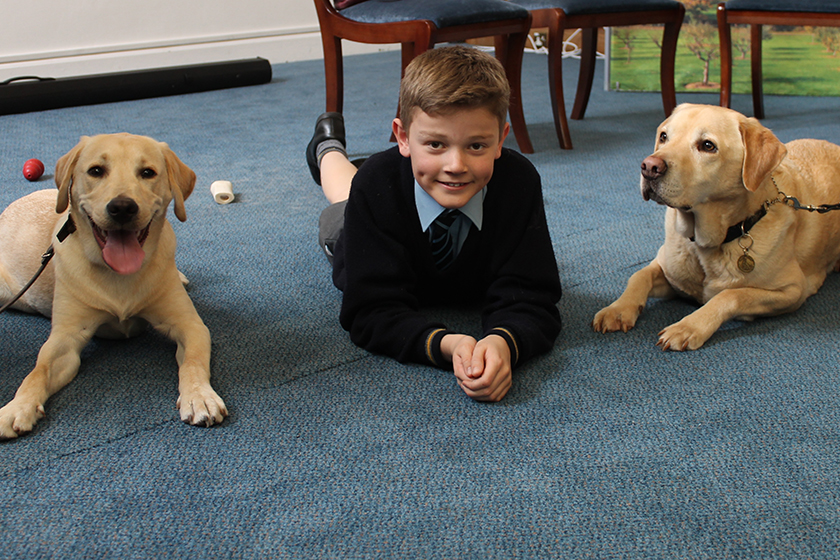 National Pet Day: Meet the Dogs of School House