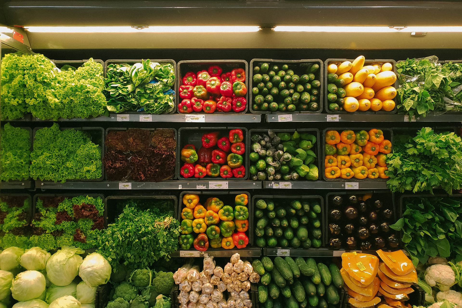 Which Supermarkets Are the Most Eco-Friendly?