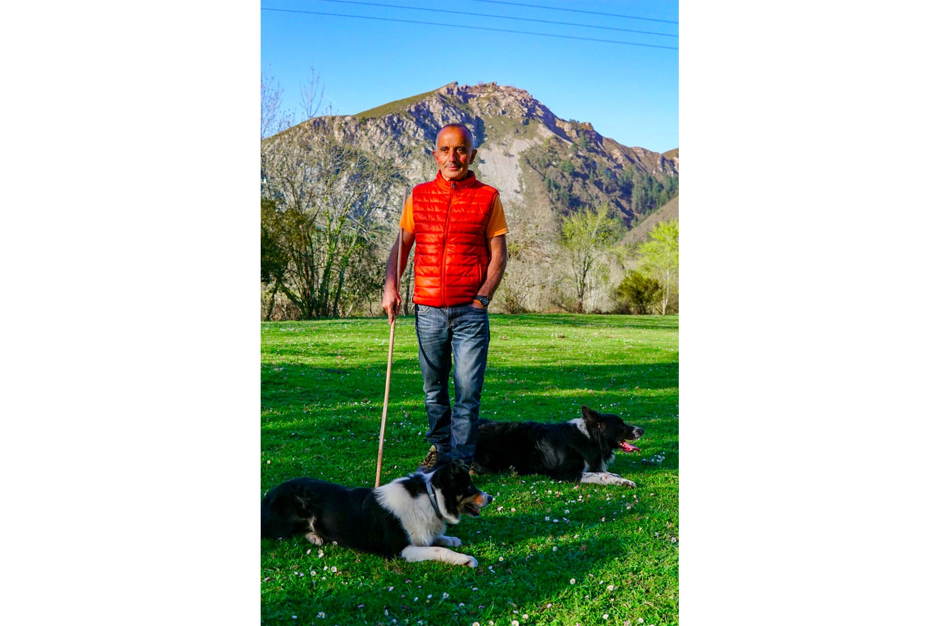 Sheepdogs, slow travel Spain