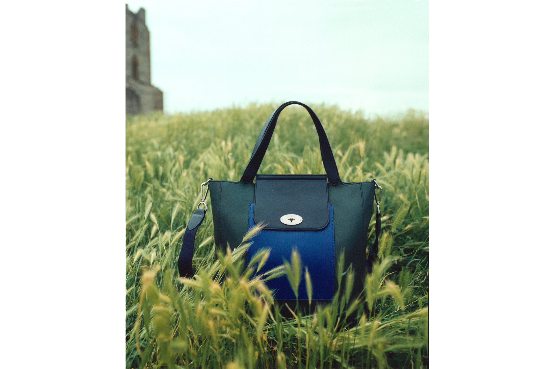 Bag in grass